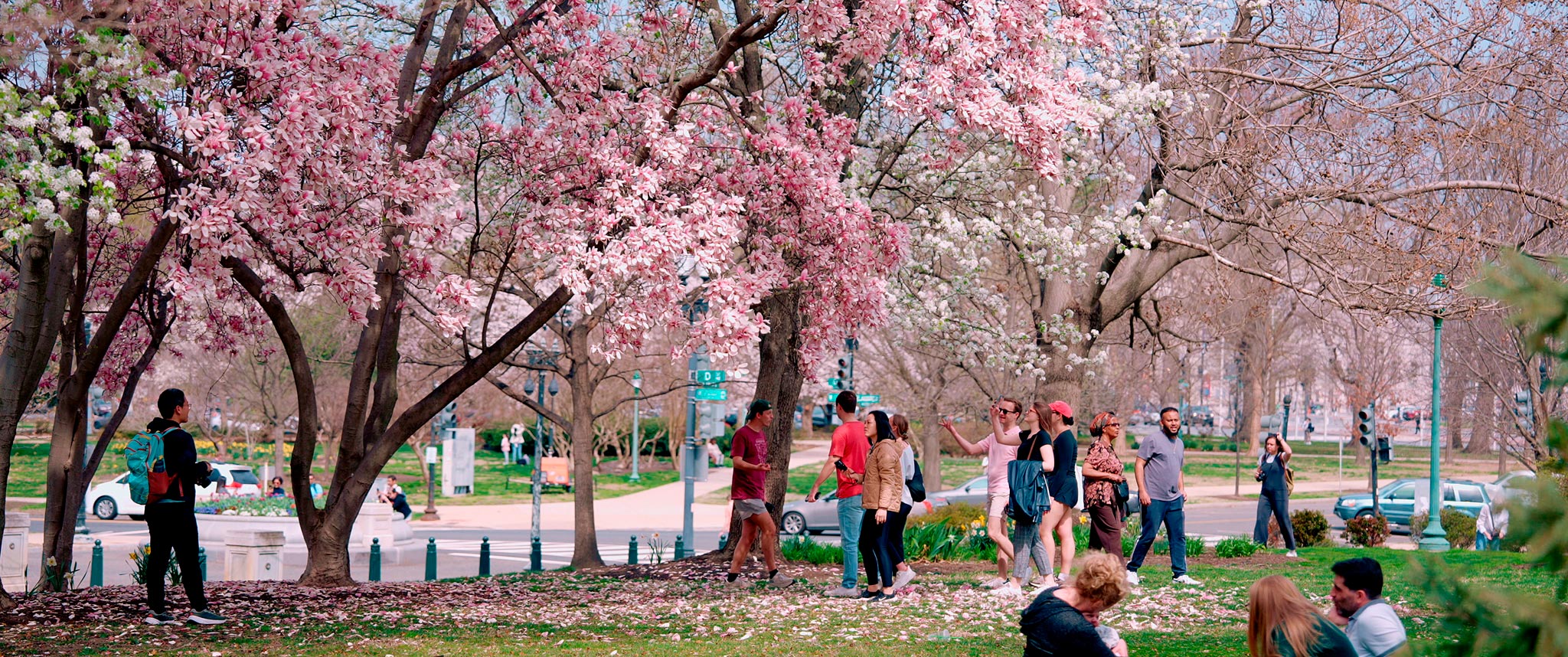 fotograma de la película documental EN BUSCA DEL MESÍAS